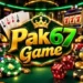 67Pak Game LOGO